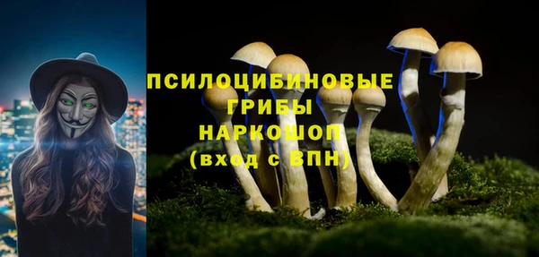 эйфоретик Алексин