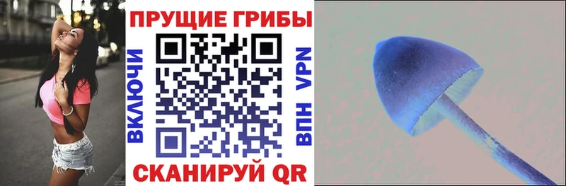 Галлюциногенные грибы Psilocybe  маркетплейс какой сайт  Ханты-Мансийск  как найти закладки 